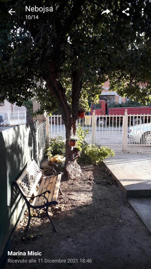 Apartman Milica Požarevac Esterno foto
