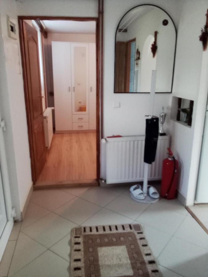 Appartamento Apartman Milica Požarevac Esterno foto