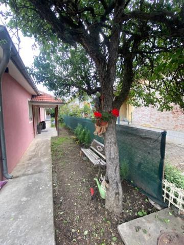 Apartman Milica Požarevac Esterno foto